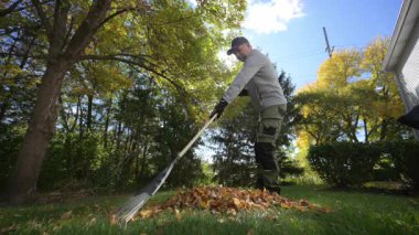 Bahçıvan arka bahçede düşen sonbahar yapraklarını topluyor. Bahçede mevsimlik işler. Peyzaj tasarımı. Bahçe düzenleme. - Evet. Yüksek kalite 4k görüntü