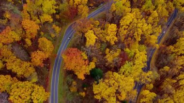 Kırmızı, turuncu ve sarı tonlarda canlı sonbahar yeşillikleriyle çevrili dolambaçlı bir dağ yolunun yukarıdan aşağıya bakan drone görüntüsü. Arabalar keskin bir virajdan geçer. Yüksek kalite 4k görüntü