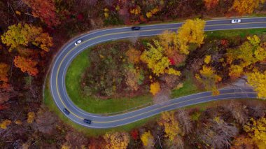 Kırmızı, turuncu ve sarı tonlarda canlı sonbahar yeşillikleriyle çevrili kıvrımlı bir dağ yolunun tepeden aşağı görüntüsü. Arabalar keskin bir virajdan geçer. Yüksek kalite 4k görüntü