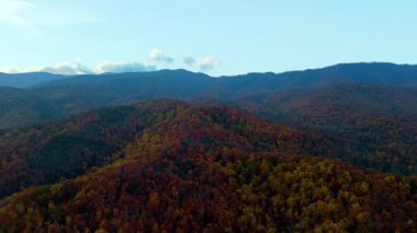 Sıcak pastel gökyüzüyle Dumanlı Dağlar 'ın drone görüntüsü. Aşağıda, canlı sonbahar renkleri olan bir sonbahar ormanı var. Yüksek kalite 4k görüntü