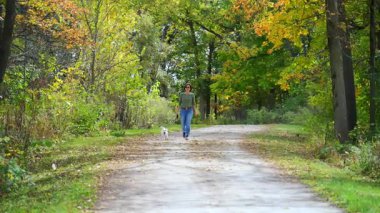 Güneşli bir günde küçük köpeğini orman yolunda gezdirir. Yeşil ve sarı sonbahar yaprakları sakin ve doğal bir atmosfer yaratır. Mutlu anlar. Yüksek kalite 4k görüntü