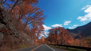 Kıvrımlı bir sonbahar ormanında dolambaçlı bir dağ yolunu çevreleyen renkli sonbahar yapraklarıyla birlikte. Kırmızı, turuncu ve sarı çizgili yol gölgelerinde uzun ağaçlar. - Evet. Yüksek kalite 4k görüntü