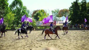 Binicilik performans takımı kumlu arenada ata biniyor. Sürücüler senkronize bir şekilde hareket ederken büyük mor bayraklar sallıyorlar. USA IL Warrenville 2 Ekim 2025. Yüksek kalite 4k görüntü