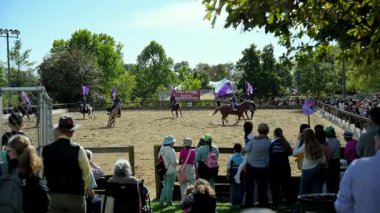 Binicilik performans takımı açık alanda ata biniyor. Sürücüler senkronize bir şekilde hareket ederken büyük mor bayraklar sallıyorlar. USA IL Warrenville 2 Ekim 2025. Yüksek kalite 4k görüntü