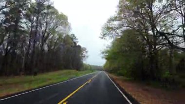 İlkbahar ağaçları ve yoğun yeşilliklerle çevrili yeni döşenmiş bir köy yolu boyunca sürüş görüntüsü. Virajlı yol, bulutlu gökyüzü ve sessiz orman manzarası. Zaman aşımı. Yüksek kalite 4k görüntü