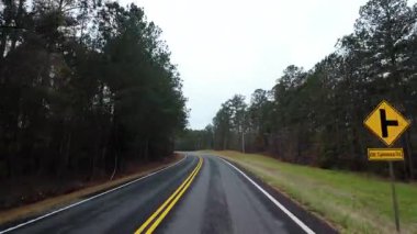 İlkbahar ağaçları ve yoğun yeşilliklerle çevrili yeni döşenmiş kır yolu boyunca sürüş görüntülerinin POV 'u. Virajlı yol, bulutlu gökyüzü ve sessiz orman manzarası. Yüksek kalite 4k görüntü