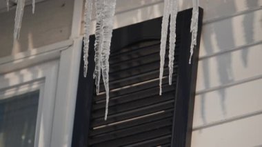 Pencere perdesinin kenarından sarkan uzun, keskin buz saçakları. Güneş ışığı donmuş oluşumları ısıtırken su damlacıkları düşer. Yüksek kalite 4k görüntü