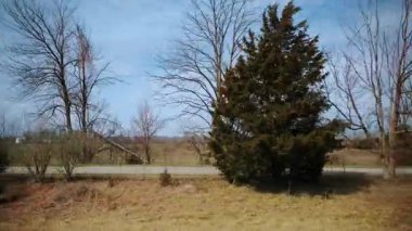 Yapraksız ağaçlar ve açık alanlar hareketli arabalardan çekilerek, sonbahar sonu veya ilkbahar başlarında sessiz renkler ve sakin kırsal atmosfer ile kırsal manzarayı gösteriyor. POV görünümü. Yüksek kalite 4k görüntü
