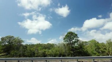 Hareket halindeki bir arabadan çekilen parlak bahar ormanının POV 'u, gündüz yolculuğu sırasında renkli yeşillikler, yol kenarı bitkileri ve doğal kır manzaralarını gösteriyor. Yüksek kalite 4k görüntü