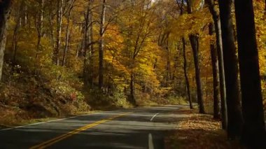 Altın sonbahar yapraklarıyla dolu bir ormanın içinden dolambaçlı bir yol geçiyor. Güneş ışığı ağaçların arasından süzülüyor, rengarenk sonbahar manzarası seyahat, doğa, mevsimlik temalar için ideal. Yüksek kalite 4k görüntü