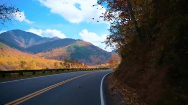 Dağ manzaralı renkli sonbahar ormanlarından geçen dolambaçlı bir yol. Altın yapraklar, temiz gökyüzü, huzurlu seyahat ve doğa atmosferi. ABD TN Gatlinburg 2 Kasım 2025. Yüksek kalite 4k görüntü