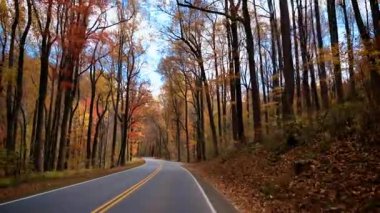 Altın sonbahar yapraklarıyla dolu bir ormandan geçen dolambaçlı bir yol. Güneş ışığı ağaçların arasından süzülüyor, rengarenk sonbahar manzarası seyahat, doğa, mevsimlik temalar için ideal. Yüksek kalite 4k görüntü