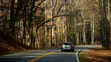Arabalar sonbahar ormanlarıyla çevrili dolambaçlı bir yol boyunca seyahat ederler. Renkli sonbahar yaprakları, güneş ışığı ve huzurlu kırsal bir ortam yaratıyor. USA Gatlinburg TN. 2 Kasım 2025. Yüksek kalite 4k görüntü