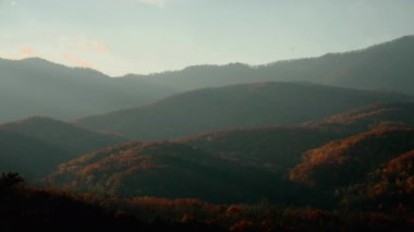 Geniş panoramik dağ tepeleri yumuşak altın saat ışığı altında renkli sonbahar ormanlarıyla kaplı. Mevsimsel güzellik, doğa ve sakin bir açık hava atmosferi. Yüksek kalite 4k görüntü