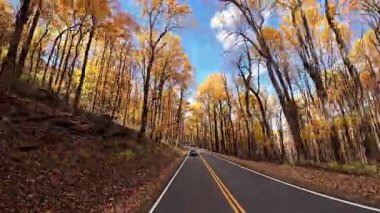 Sonbahar ormanı boyunca renkli sonbahar yaprakları ve tepedeki elektrik hatlarıyla sakin bir kırsal yol boyunca araba sürme görüntüsü. Sonbahar mevsiminde ağaçlarla çevrili kırsal bir yol. Yüksek kalite 4k görüntü