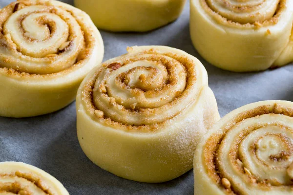 Cinnabon Rollos Canela Caseros Rollos Crudos Una Bandeja Para Hornear — Foto de Stock