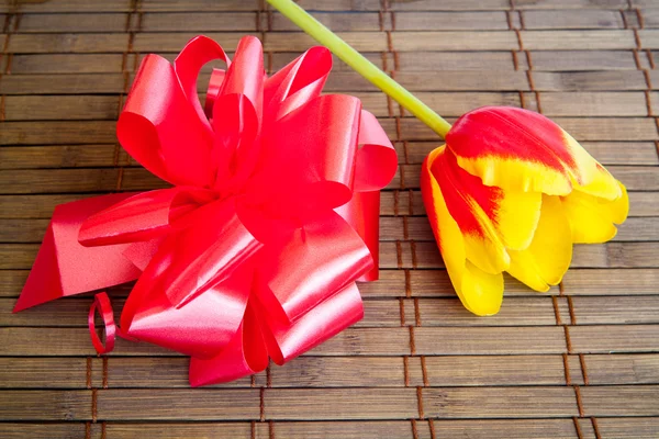 Rood-gele tulp geïsoleerd op houten achtergrond — Stockfoto