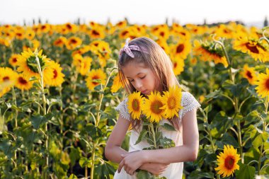 Yaz tarlasında ayçiçekli güzel bir çocuk. Ayçiçeği çiçekli bir buket tutan kız. Arka planda ayçiçeği yolu