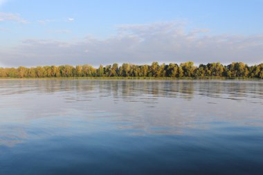 Yaz manzara, nehir ve ağaçlar