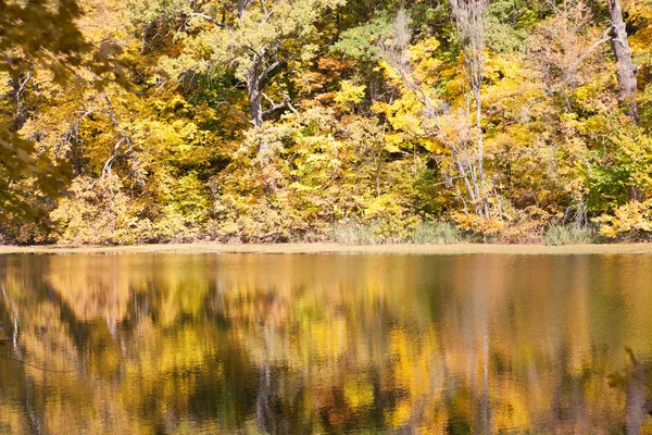 Réflexions d'automne — Photo