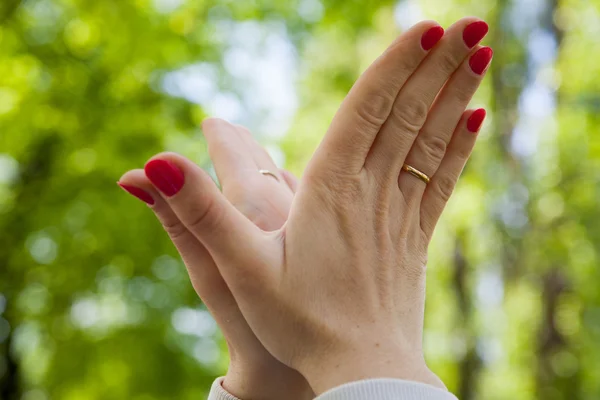 Women's hands — Stock Photo, Image