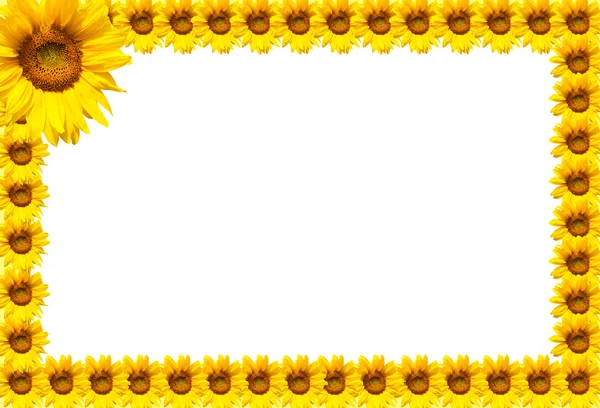 Ayçiçeği çerçeve