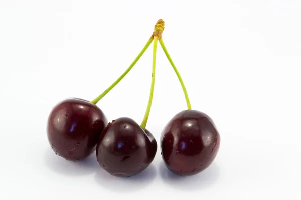 Juicy cherry — Stock Photo, Image