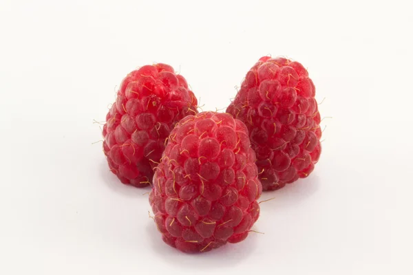 Raspberries — Stock Photo, Image