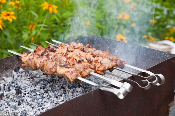 Şiş kebap. — Stok fotoğraf