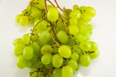 Üzüm beyazda izole edildi