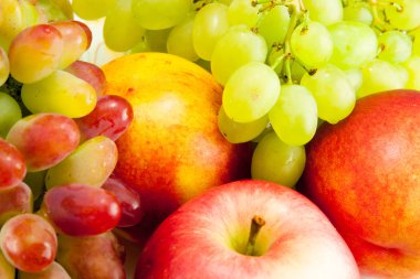 durgun meyve yaşamı