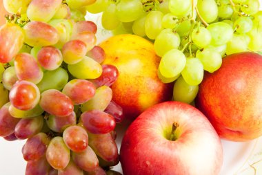 durgun meyve yaşamı