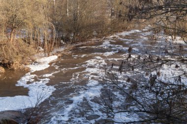 Aktif bir orman deresi, baharın başında akan su, yukarıdan gölgeli bir orman yolu boyunca akan su manzarası..