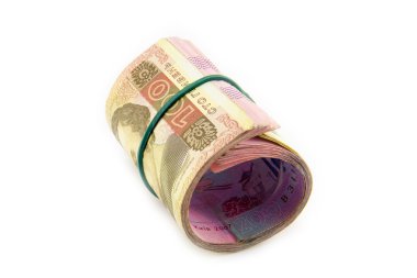 Ukrayna Hryvnia 'sı. Yakın çekim.