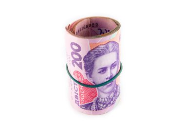 Ukrayna Hryvnia 'sı. Yakın çekim.