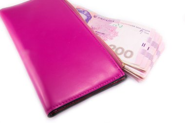 Ukrayna Hryvnia 'sı. Yakın çekim.