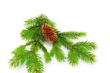 güzel Noel süsleri