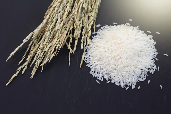 Zrno rýže na černém pozadí — Stock fotografie