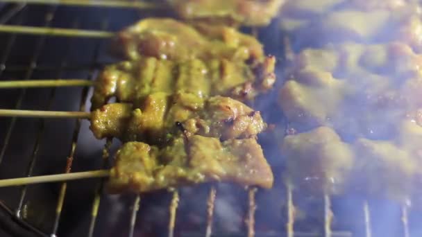 Roast Pork Satay on oven, Thailand's famous cuisine — Stock Video