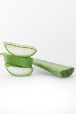 Beyaz arkaplanda taze aloe vera
