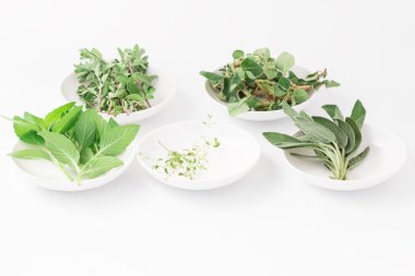 taze yeşil bitkiler üzerinde beyaz izole