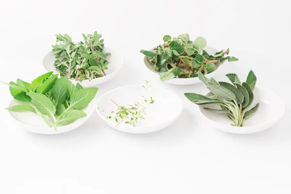 Fresh green herbs isolated over white — Stock Photo, Image