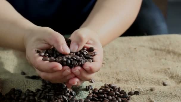 Ароматические жареные кофейные зерна держатся над мешок, руки тестирования качества — стоковое видео