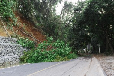 Natural disasters, landslides during the rainy season clipart