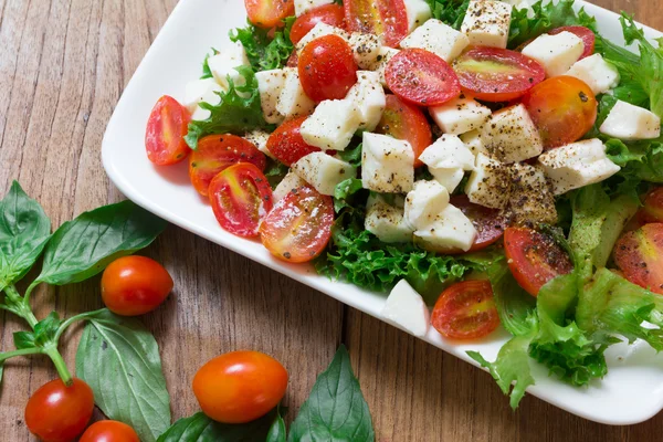 Zblízka italský salát, rajčata mozzarella bazalkových listů na dřevo b — Stock fotografie