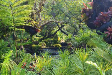 yeşil çıkış ağacı arkaplanı