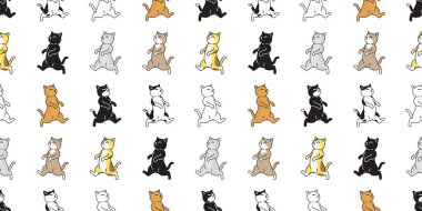 kedi desensiz kedi yavrusu Calico taşıyıcı hayvan yürüyen eşarp izole edilmiş arka plan çizgi filmi hayvan karalama duvar kağıdı çizim tasarımı