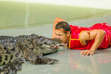 Tayland - 30 Ekim 2014: Timsah ve cesur bir terbiyeci