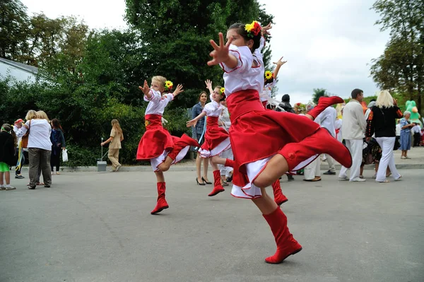 Kiev Ukraine Ağustos 2013 Bağımsızlık Gününü Kutlama — Stok fotoğraf