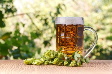 Bir bardak soğuk bira.